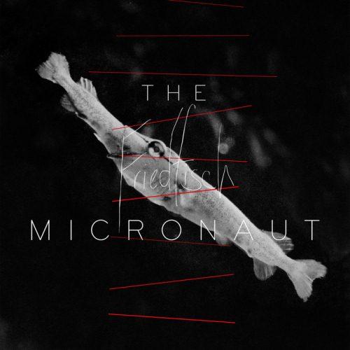 The Micronaut – Friedfisch