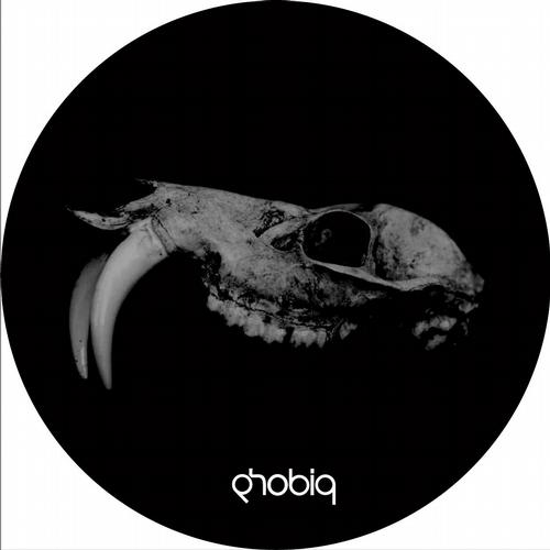 Mikael Jonasson – Evolution