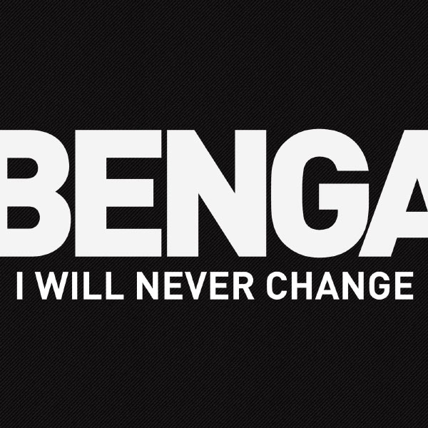 Benga – I Will Never Change