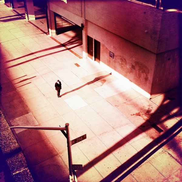 The American Dollar – Awake In The City