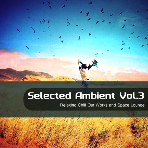 Selected Ambient Vol 3: Relaxing Chill Out Works & Space Lounge