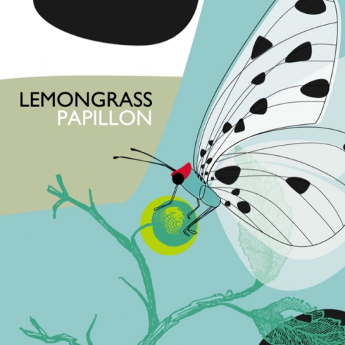 Lemongrass – Papillon