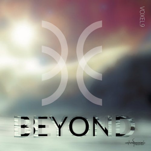 Voxel9 – Beyond