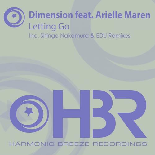 Dimension feat. Arielle Maren – Letting Go