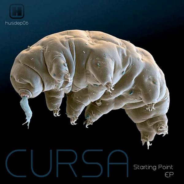 Cursa – Starting Point EP