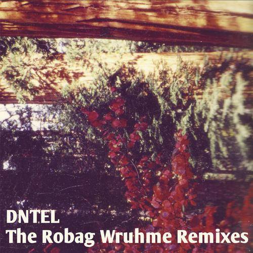 Dntel – The Robag Wruhme: Remixes