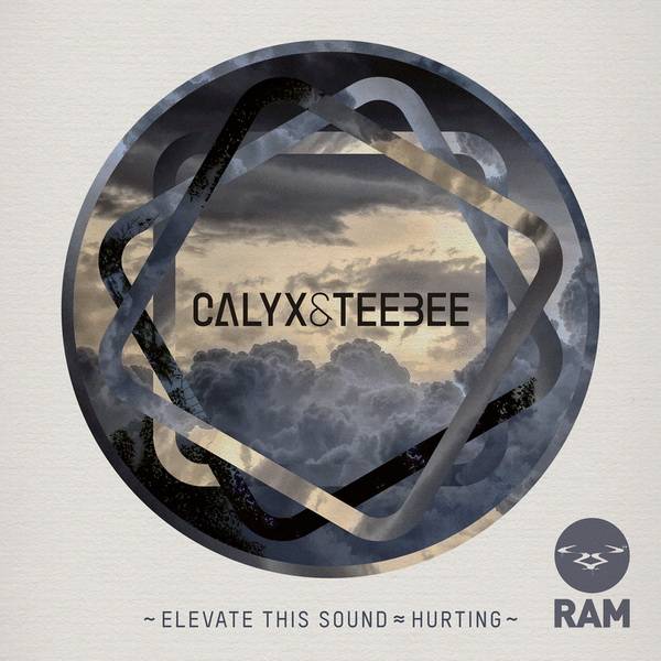 Calyx & Teebee – Elevate This Sound / Hurting