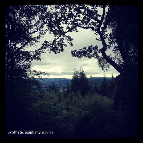 Synthetic Epiphany – Survive