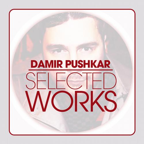 Damir Pushkar – Selected Works