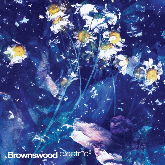 Brownswood Electric 3