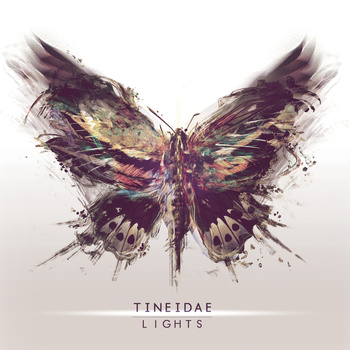 Tineidae – Lights