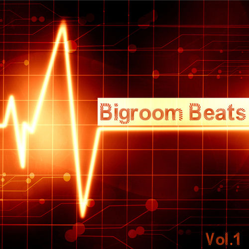 Bigroom Beats Vol.1