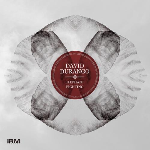 David Durango – Elephant Fighting