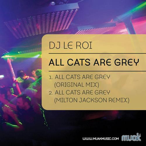 DJ Le Roi – All Cats Are Grey
