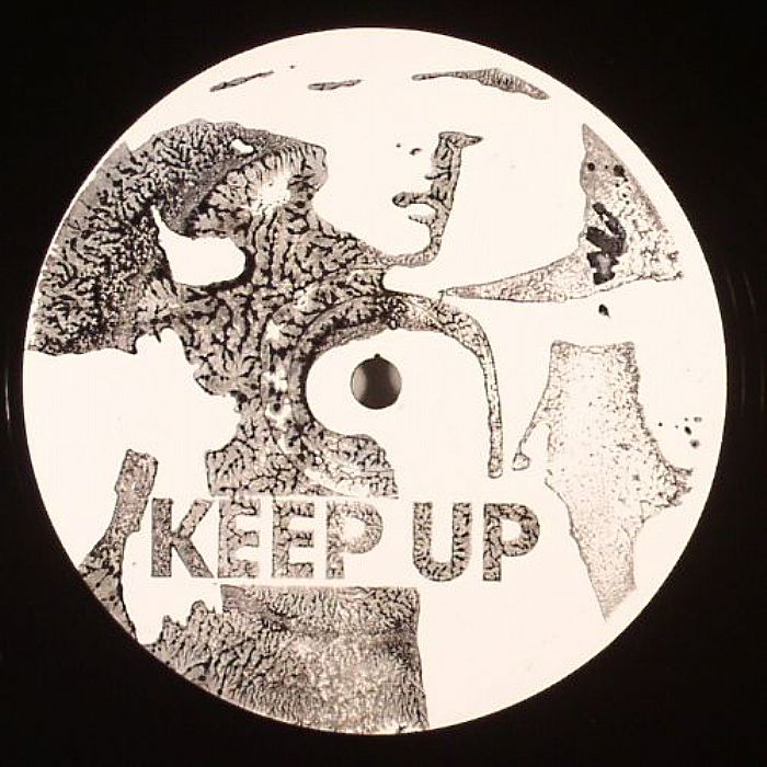 Animal Youth – Keep Up / Try Again