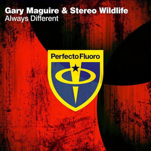 Gary Maguire & Stereo Wildlife – Always Different