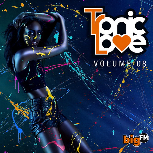 Bigfm Tronic Love Vol.8