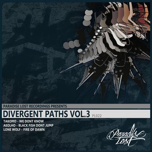 VA – Divergent Paths Vol.3