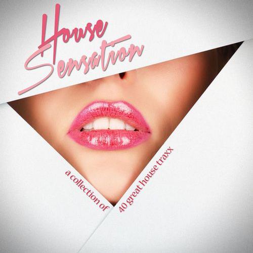House Sensation: A Collection Of 40 Great House Traxx