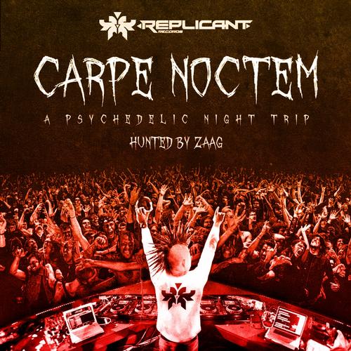 Carpe Noctem