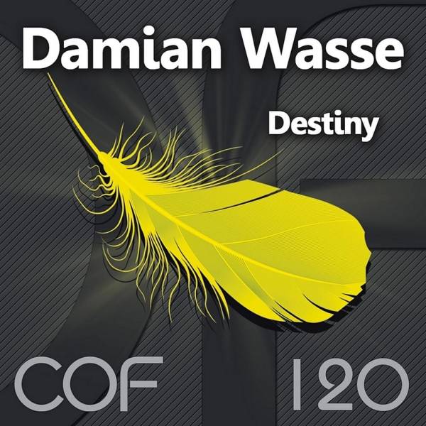 Damian Wasse – Destiny