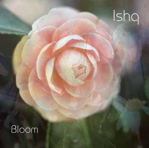 Ishq – Bloom