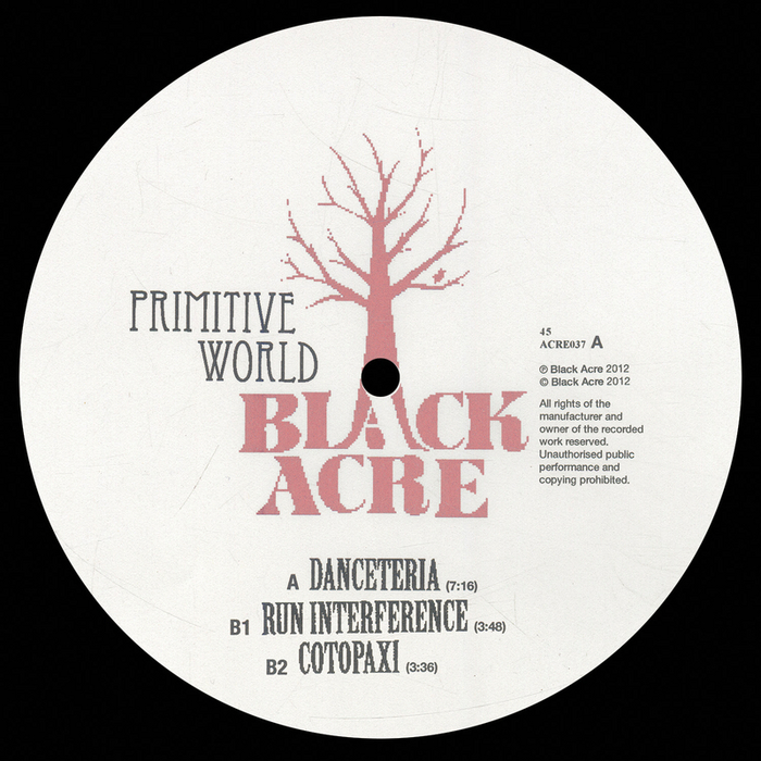 Primitive World – Danceteria / Run Interference / Cotopaxi