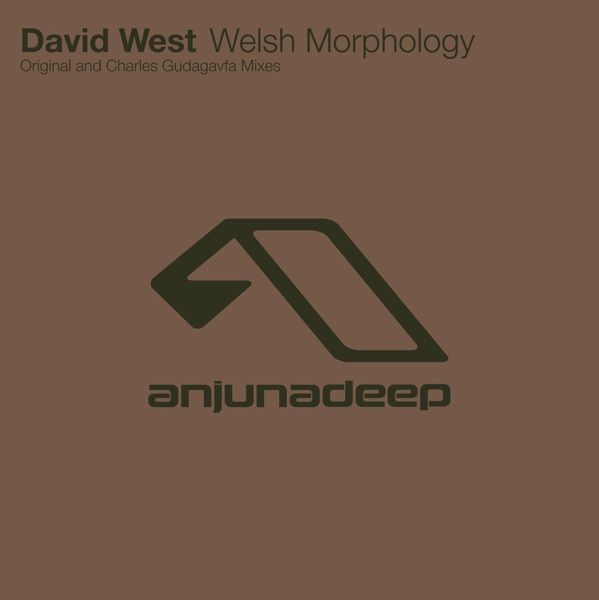 David West ‎– Welsh Morphology