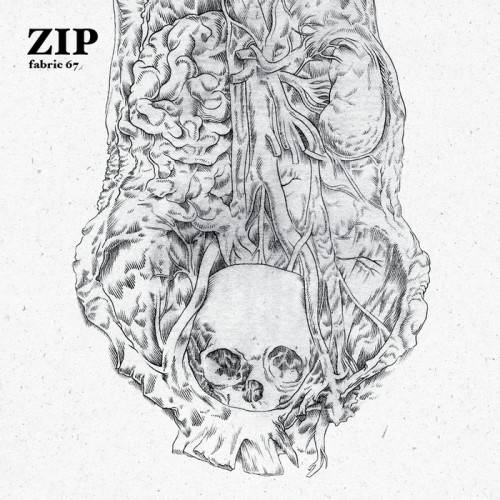 Fabric 67: Mixed By Zip