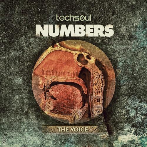 Numbers - The Voice