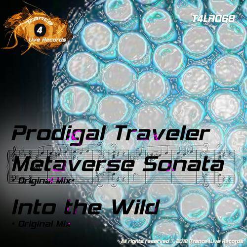 Prodigal Traveler – Metaverse Sonata / Into The Wild
