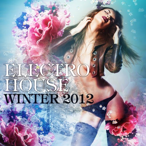 Electro House Winter 2012