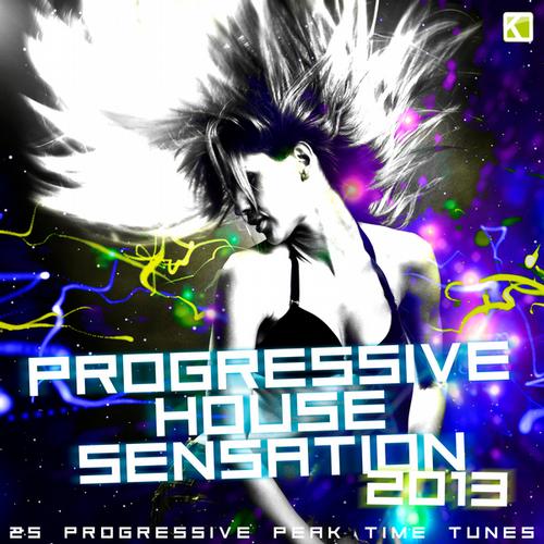 Progressive House Sensation 2013 (40 Progressive Peak Time Tunes)