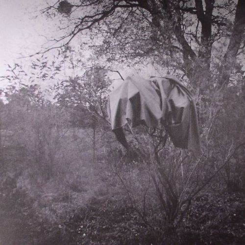 Scherbe – Jardin Du Midi