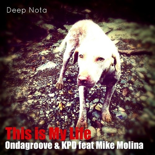 Ondagroove & KPD Feat. Mike Molina - This Is My Life