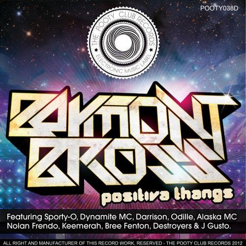 VA – Positiva Thangs