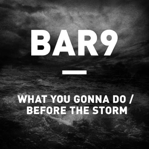 Bar9 – What You Gonna Do / Before The Storm