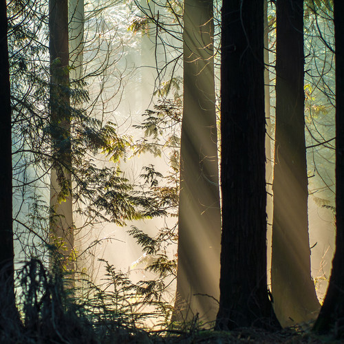 Blamstrain – Sunday Dub