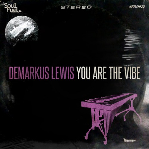 Demarkus Lewis - You Are The Vibe EP