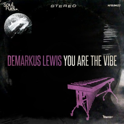 Demarkus Lewis – You Are The Vibe EP