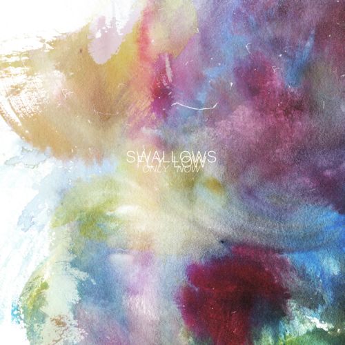 Swallows Fly Low – Only Now