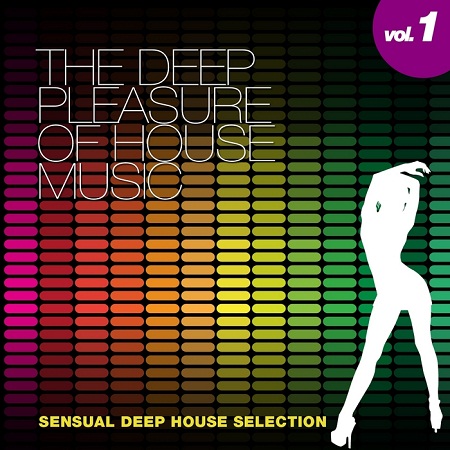 The Deep Pleasure Of House Music Vol.1