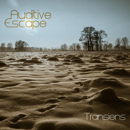 Auditive Escape - Transiens