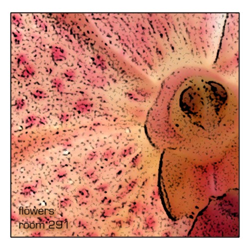 Room 291 – Flowers