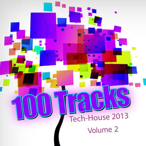 Tech House 2013 100 Tracks Vol.2