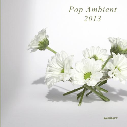 Pop Ambient 2013