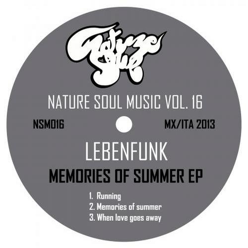 Lebenfunk – Memories Of Summer