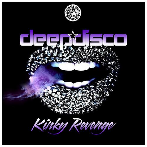 Deepdisco – Kinky Revenge