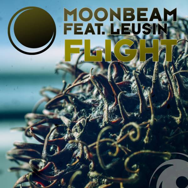 Moonbeam feat. Leusin – Flight