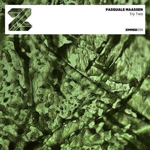 Pasquale Maassen – Try Two